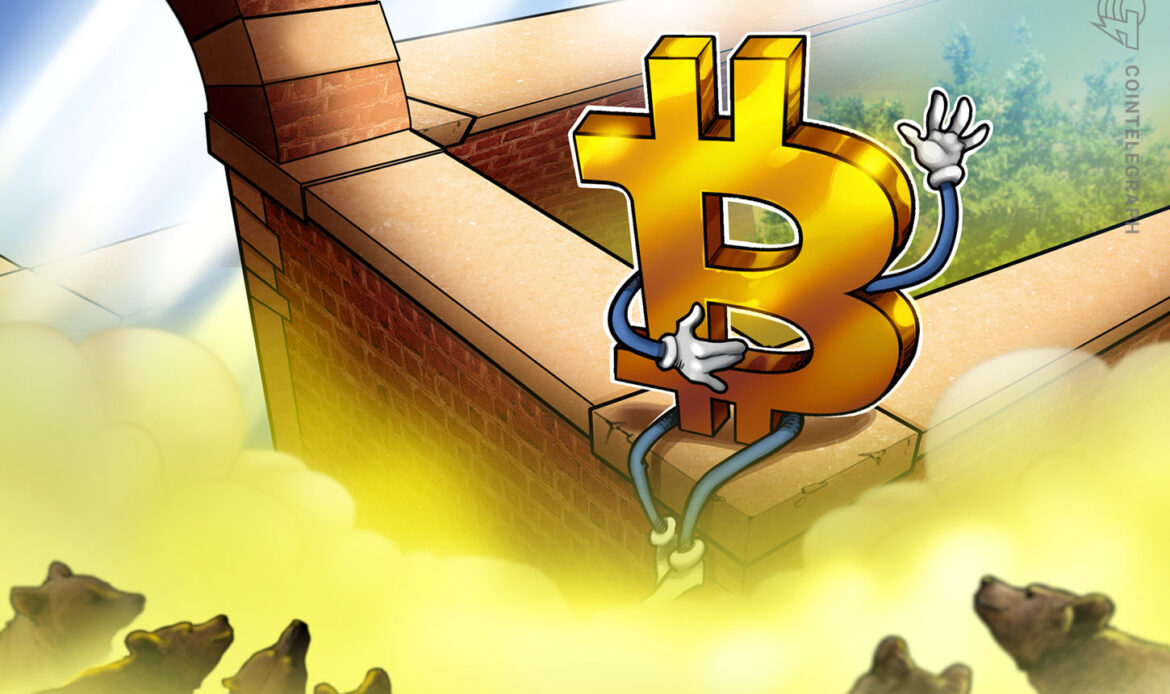 Playful cartoon showing a friendly golden Bitcoin character sitting on a brown brick wall while checking data charts.