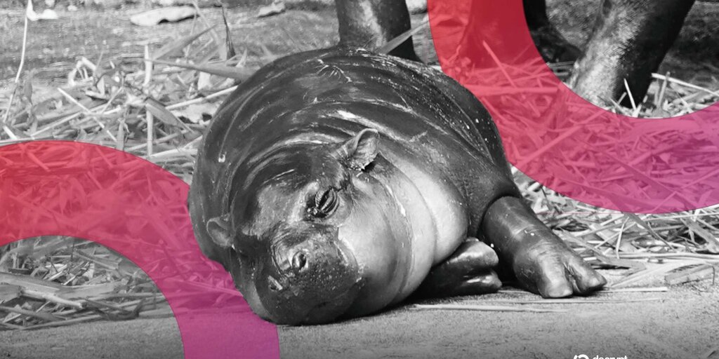 High-contrast graphic showing a popular baby hippo meme character surrounded by abstract dark digital textures.