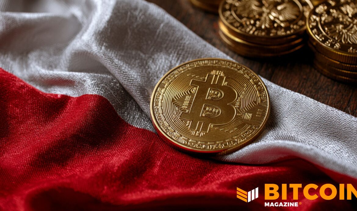 A single physical golden Bitcoin coin resting flat on a white and red textured fabric background.