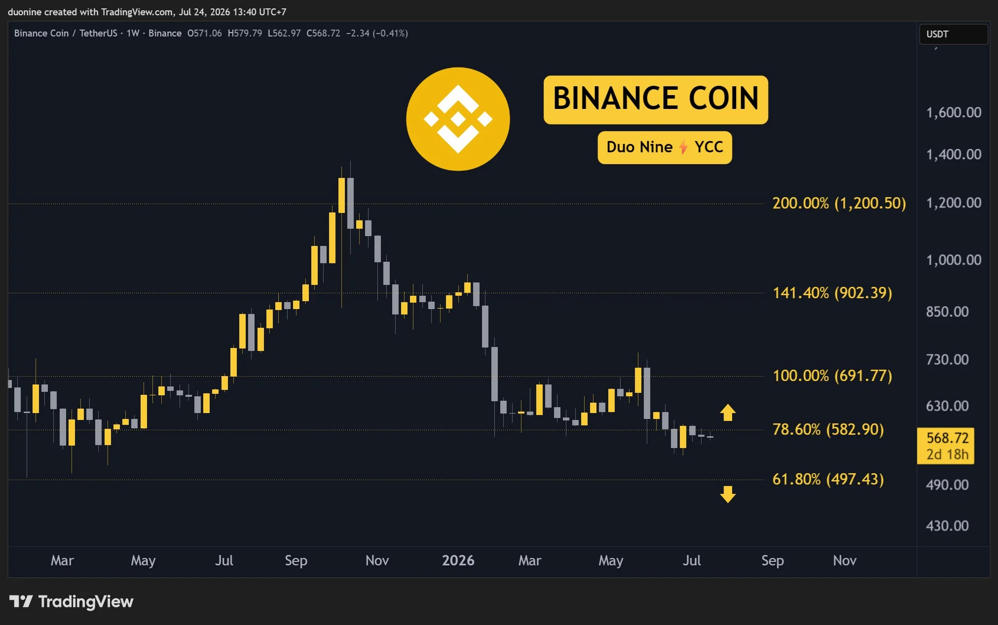 binance_coin_price_chart_2407261